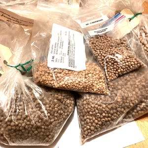 3 Types Of DOGWOOD TREE SEEDS (per order randomly chosen)