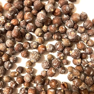 Utah Juniper Tree Seeds (JUNIPERUS OSTEOSPERMA Dried Berries/Cones)