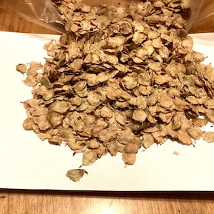 Elsmo Chinese Elm Tree Seeds (Ulmus Parvifolia &#39;Elsmo&#39;)
