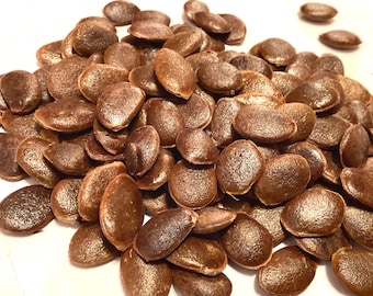 American Persimmon Tree Seeds (DIOSPYROS VIRGINIANA) (Common Persimmon)