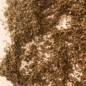 Silver Sagebrush Tree Seeds (ARTEMISIA CANA)