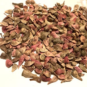 Red Japanese Maple Tree Seeds (ACER PALMATUM ATROPURPUREUM) (Dewinged Seed)