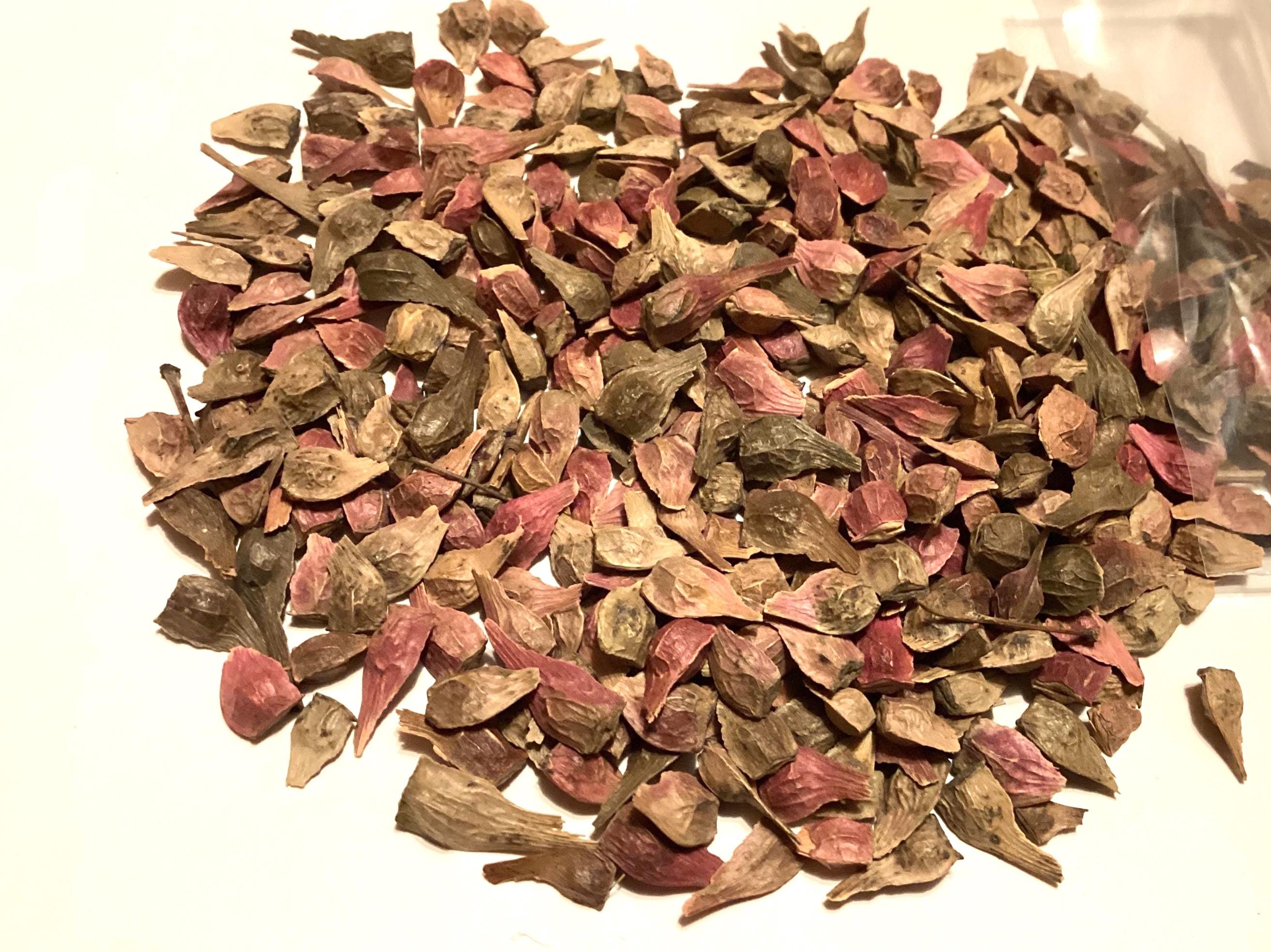 Red Japanese Maple Tree Seeds (ACER PALMATUM ATROPURPUREUM