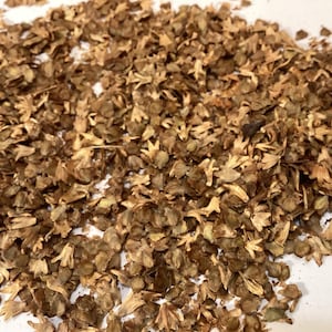 May include: Close-up of a pile of dried, brown seed pods. The pods have a delicate, layered structure and a light tan color. The image is well-lit, showing the texture and detail of the seed pods.