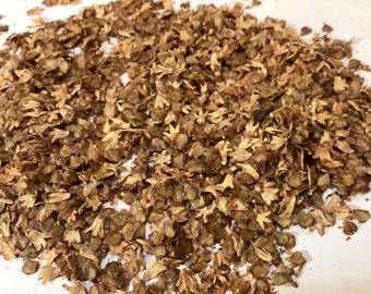 River Birch Tree Seeds (BETULA NIGRA NORTHERN) (Water Birch)