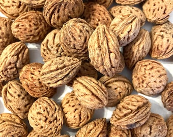Nemaguard Peach Tree Seeds (PRUNUS PERSICA NEMAGUARD)