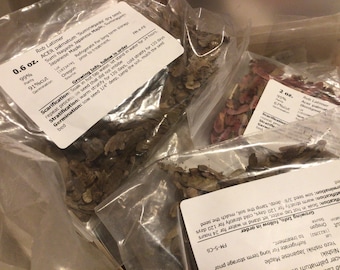 6 types of JAPANESE MAPLE Tree SEEDS (per order randomly chosen from the types available)