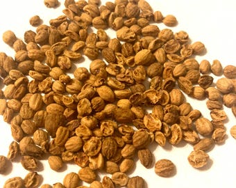 Smooth Hawthorn Tree Seeds (Crataegus Laevigata)