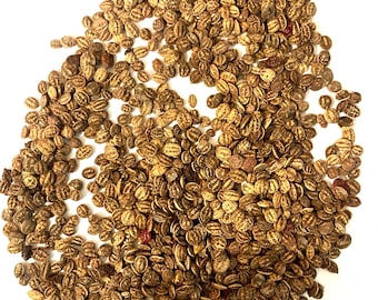 Chinese Viburnum Tree Seeds  (VIBURNUM ICHANGENSE)