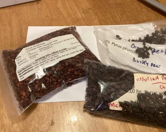 3 types of PEAR TREE SEEDS (Pyrus Genus) (per order randomly chosen)