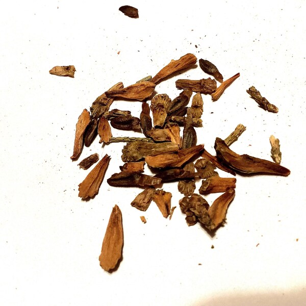 Chinese Swamp Cypress Tree Seeds (GLYPTOSTROBUS PENSILIS)