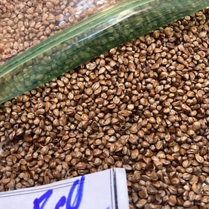 Eastern Red Cedar Tree Seeds (JUNIPERUS VIRGINIANA) (2024 New Supply)