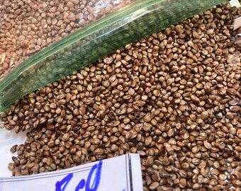 thumbnail image 2 of CHUXAY GARDEN 25 Seeds Robinia Pseudoacacia,Black Locust 2 of 13