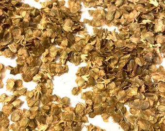 River Birch Tree Seeds (BETULA NIGRA s.g. Northern)