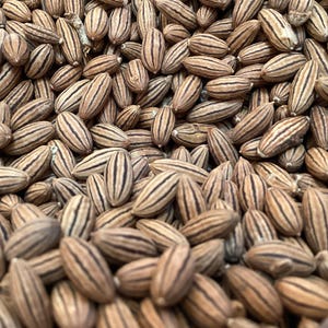 May include: A close-up of a pile of brown and black striped seeds.