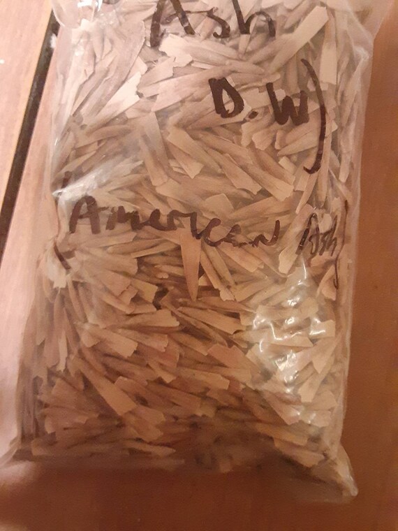 White Ash Tree Seeds Etsy