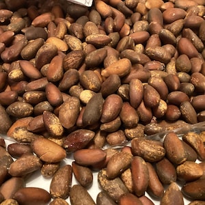 May include: A close-up image of a pile of brown Brazil nuts. The nuts are in a clear plastic bag and are scattered on a white surface.