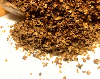 European White Birch Tree Seeds (BETULA PENDULA)