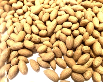 Olive Tree Seeds (OLEA EUROPAEA) (Common Olive)