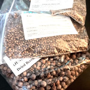 3 types of JUNIPER TREE SEEDS (Juniperus Genus) (per order randomly chosen)