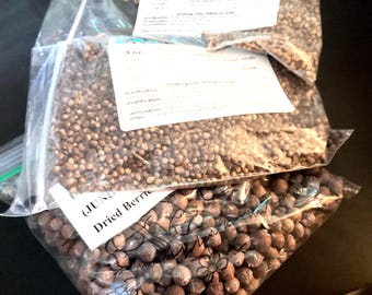 3 types of JUNIPER TREE SEEDS (Juniperus Genus) (per order randomly chosen)