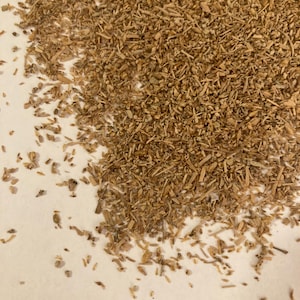Big Sagebrush Tree Seeds (ARTEMISIA TRIDENTATA) (Sagebrush) (Wyoming Big Sagebrush)