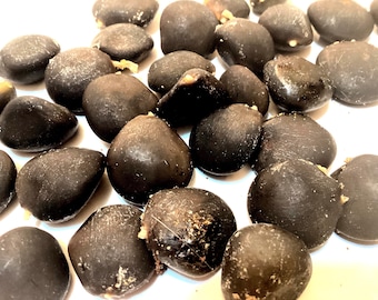 Kentucky Coffeetree Tree Seeds (GYMNOCLADUS DIOICUS)