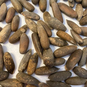 May include: A close-up view of a pile of brown pine nuts. The nuts are oval-shaped and have a rough texture.