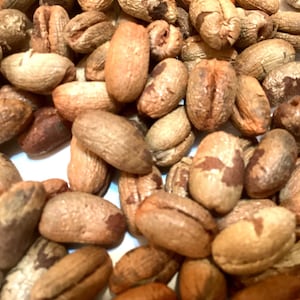 May include: Close-up of a pile of brown kola nuts. The nuts have a textured, oval shape with a light brown exterior and darker brown markings. They are a natural product, likely used for their caffeine content.