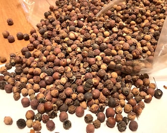 Mediterranean Honeyberry Tree Seeds (CELTIS AUSTRALIS)