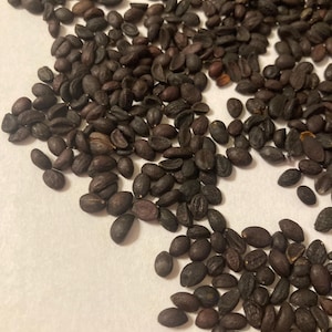 May include: A close-up of a pile of dark brown coffee beans on a white surface.