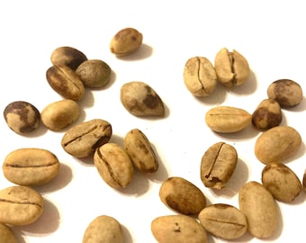 Arabian Coffee Tree Seeds (COFFEA ARABICA)(Mountain Coffee Shrub)