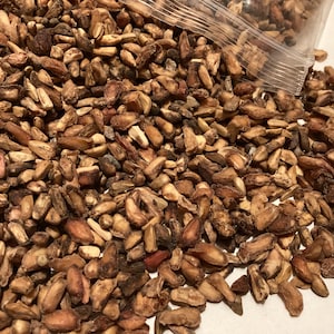 Pomegranite Tree Seeds (PUNICA GRANATUM)