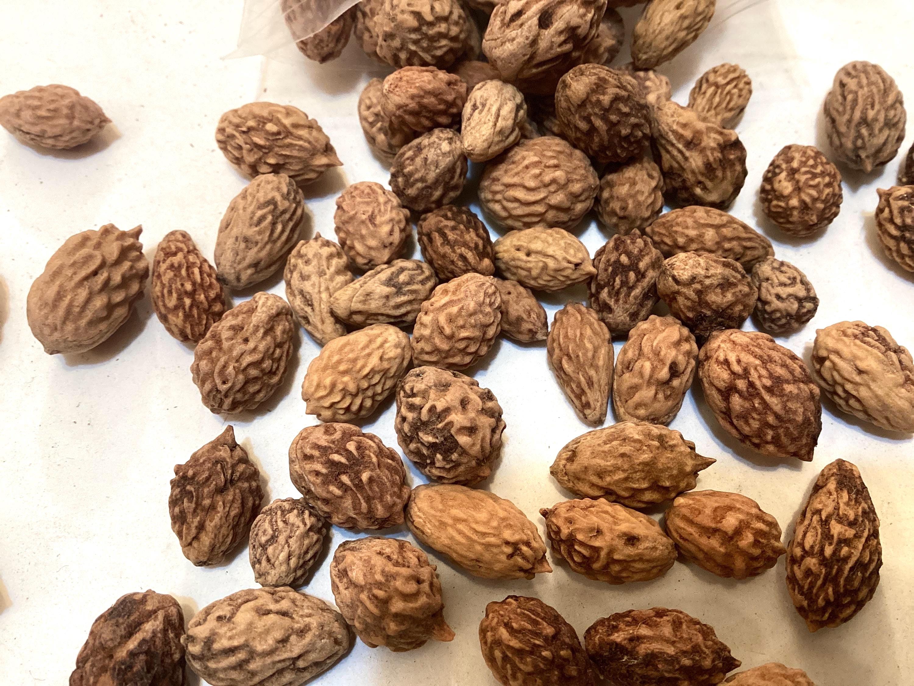 craft 9 items using indian tobacco as an ingredient Red Dead Redemption 2": Herbalist Challenges Indian Tobacco Location - Flora