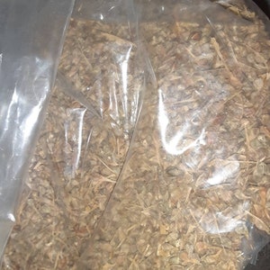 Trident Maple Tree Seeds (Acer Buergerianum) (new supply)