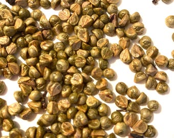 Boston Ivy Seeds (PARTHENOCISSUS TRICUSPIDATA) (Woodbine)(Japanese Ivy)(Japanese Creeper)(Grape Ivy)