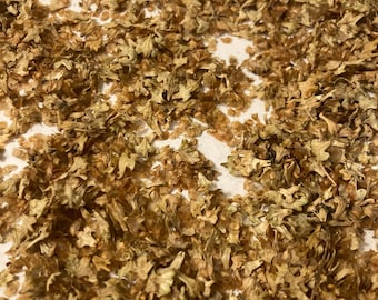 White Birch Tree Seeds (BETULA PAPYRIFERA broken strobiles) (Paper Birch) (Canoe Birch)