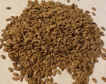 Devil's Walking Stick Tree Seeds (ARALIA SPINOSA) (Hercules-Club, Devil's Walkingstick)