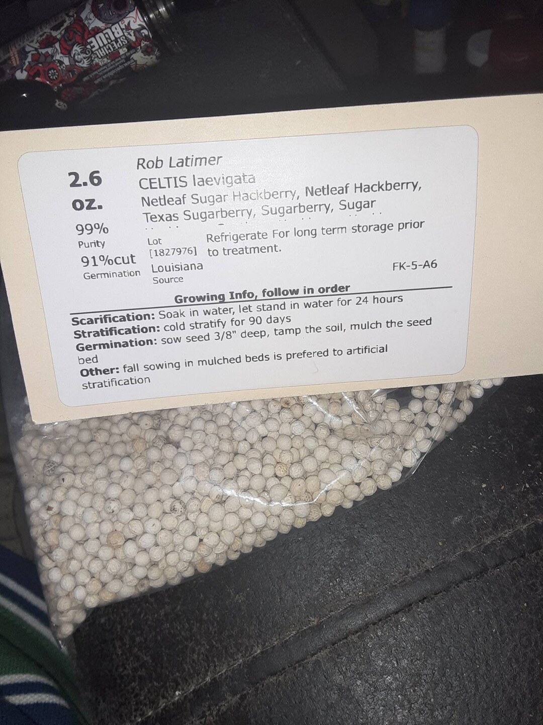 Texas Sugarberry Tree Seeds celtis Iaevigata sugar Hackberry - Etsy