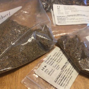 3 types of MULBERRY TREE SEEDS (Randomly Chosen)