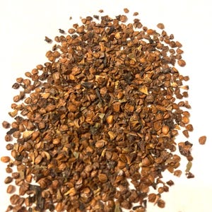 Hazel Alder Tree Seeds (ALNUS SERRULATA)