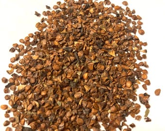 Hazel Alder Tree Seeds (ALNUS SERRULATA)