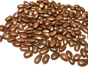 Thornless Honey Locust Tree Seeds (GLEDITSIA TRIACANTHOS INERMIS)