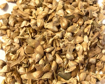 Pseudolarix Amabilis (Golden Larch) Unusual Tree Seeds – Rare, Unbranded