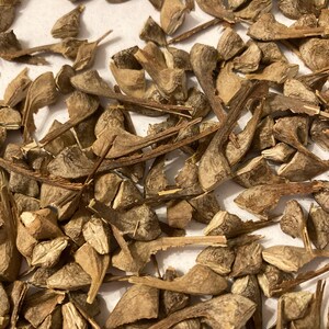 May include: A close-up image of a pile of dried brown seed pods. The pods are various shapes and sizes, some are split open, revealing the seeds inside.