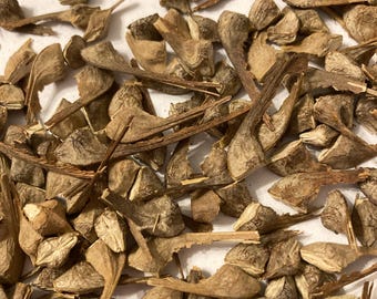 Oregon Maple Tree Seeds (ACER MACROPHYLLUM) (Broadleaf Maple)