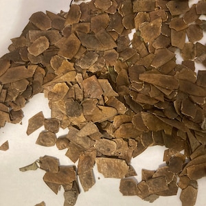 North Indian Rosewood, Delbergia ( Dalbergia sissies)