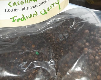 Carolina Buckthorn Shrub Seeds  (Rhamnus Caroliniana) (Indian Cherry)