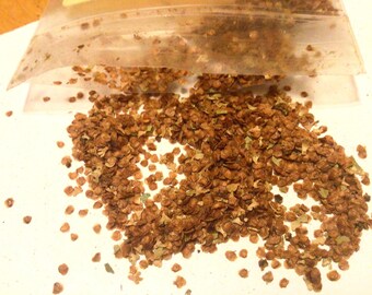 Granular Birch Tree Seeds (Betula Glandulosa)