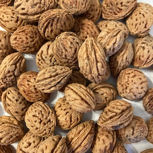 Nemaguard Peach Tree Seeds (PRUNUS PERSICA NEMAGUARD)